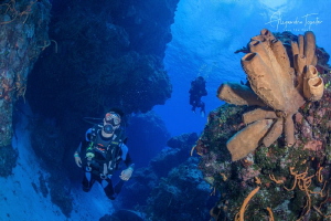 Divers with Reef, Cozumel Mexico by Alejandro Topete 